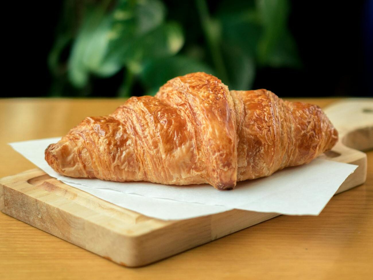 close up photo of croissant